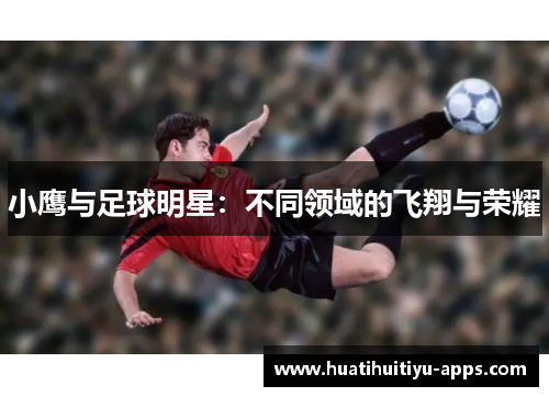 小鹰与足球明星：不同领域的飞翔与荣耀